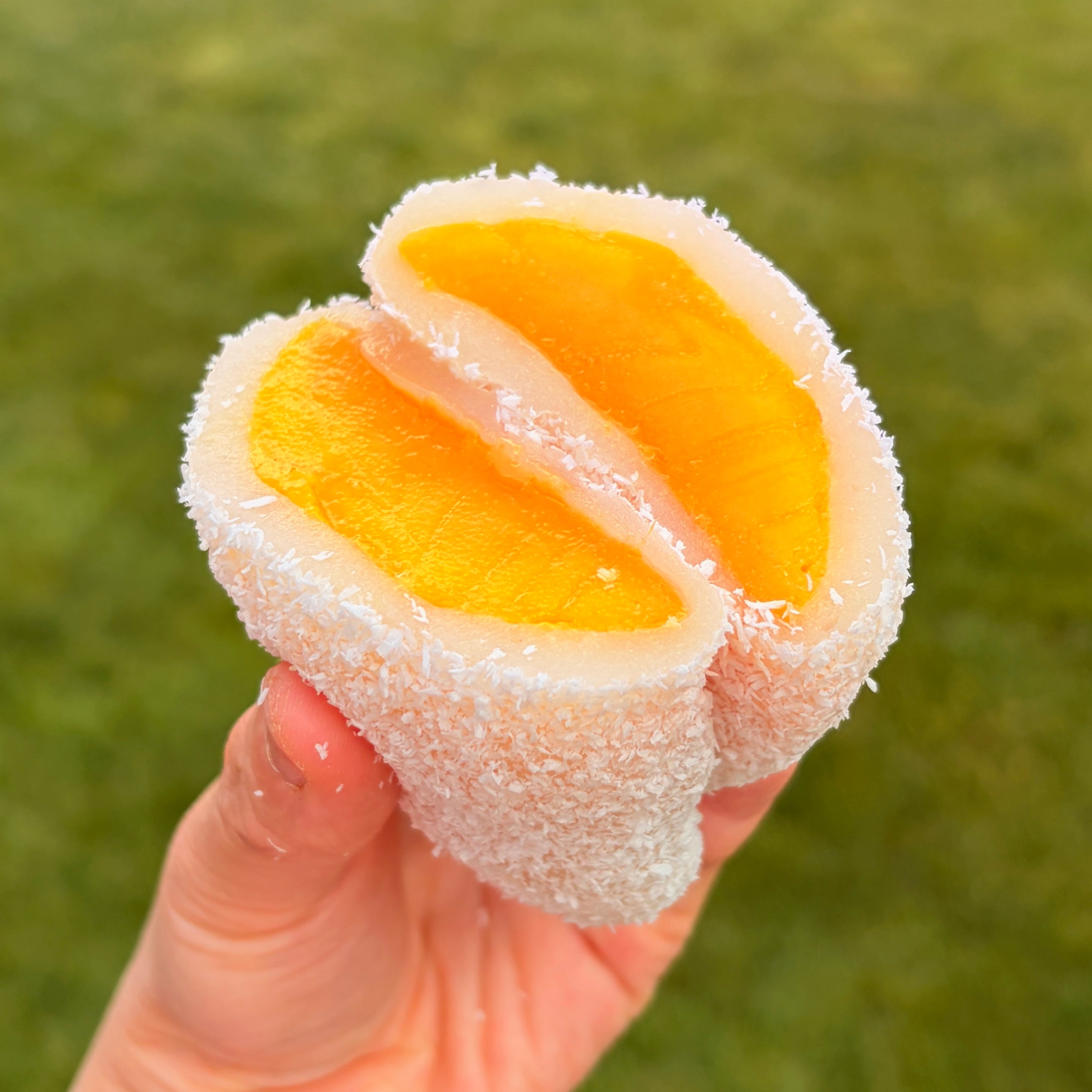 Daifuku mochi mix (Small/Large boxes)